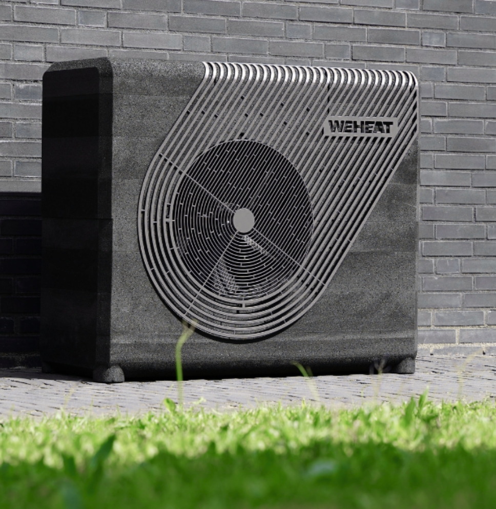 Weheat Sparrow