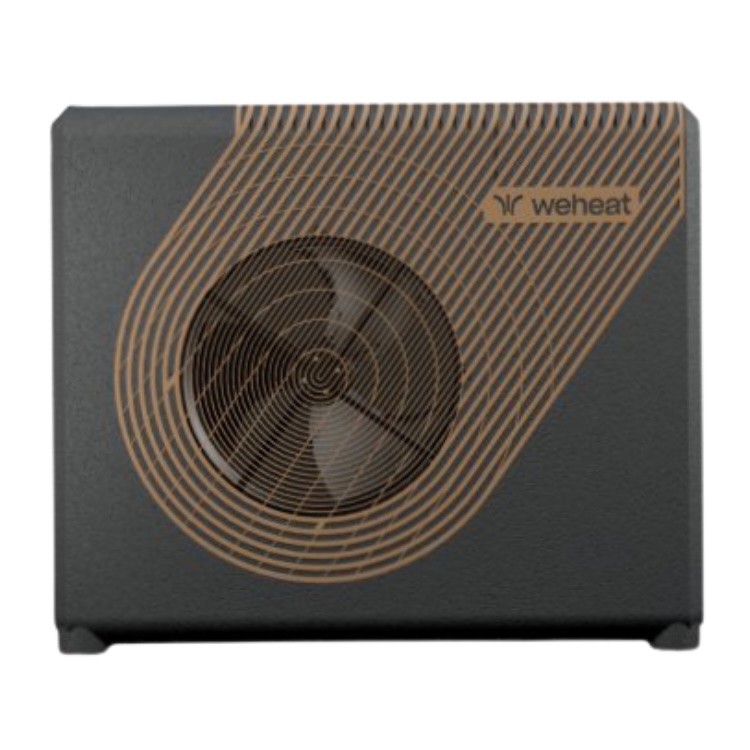 Weheat Sparrow